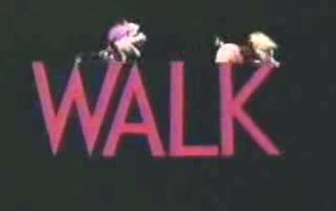 These pigs seem to have it figured out